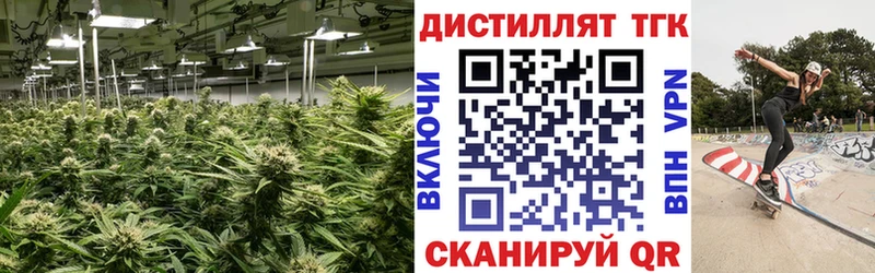 закладки Павловская ТГК вейп