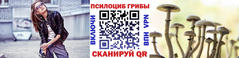 Галлюциногенные грибы Psilocybine cubensis Павловская