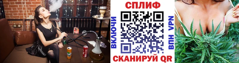 мориарти состав  Павловская  Каннабис план  kraken как зайти 